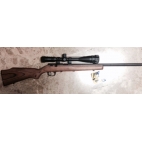 RIFLE MARLIN 17 HMR + VISOR 6-24X50