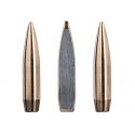 BALAS SAKO TRG PRECISION 300Win. 175GR